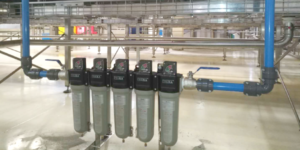 DT系列压缩空气精密过滤器 纯净水行业应用